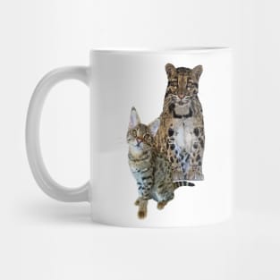 felines Mug